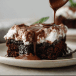 Mississippi Mud Cake